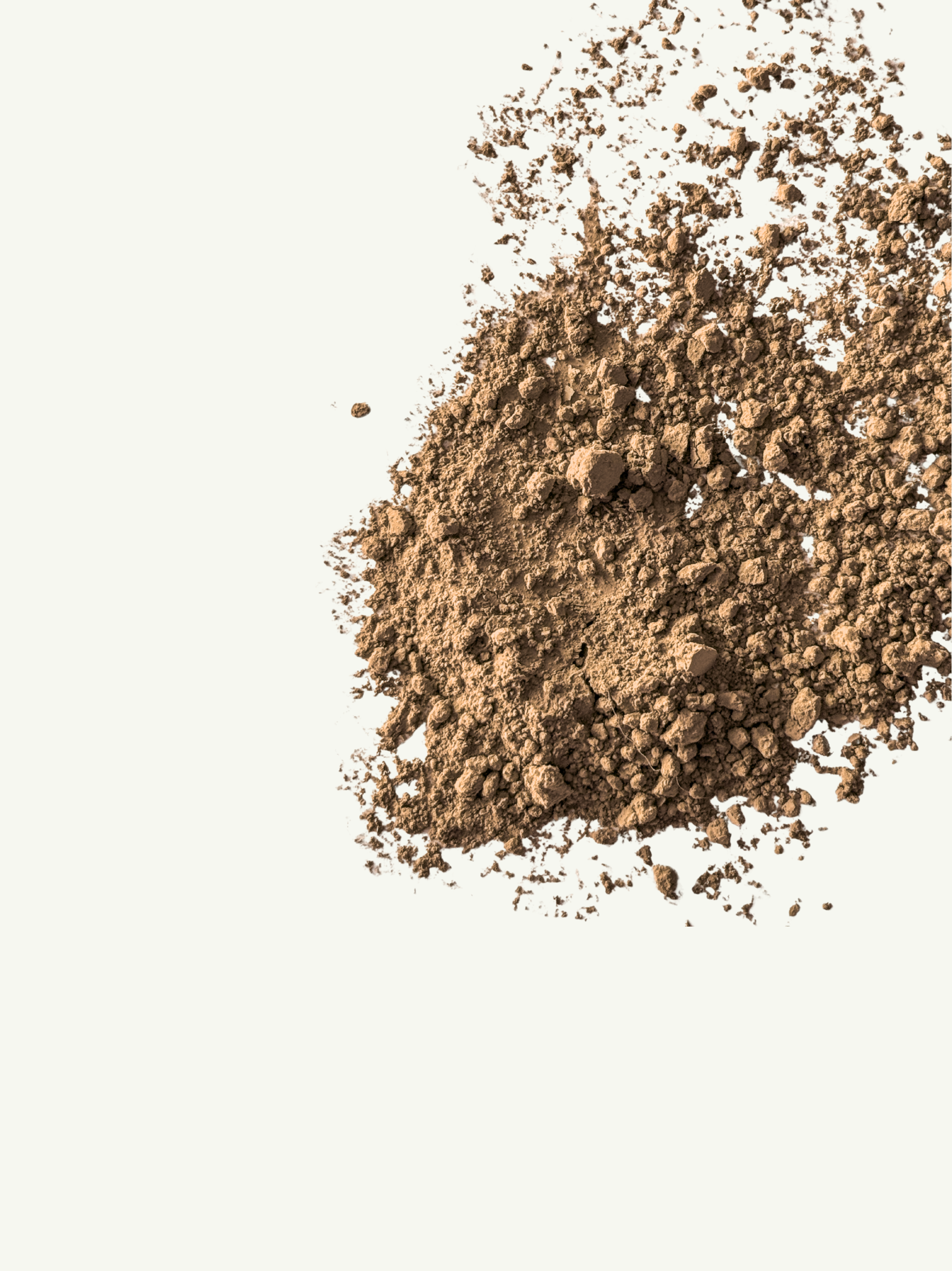 Azuma Hojicha