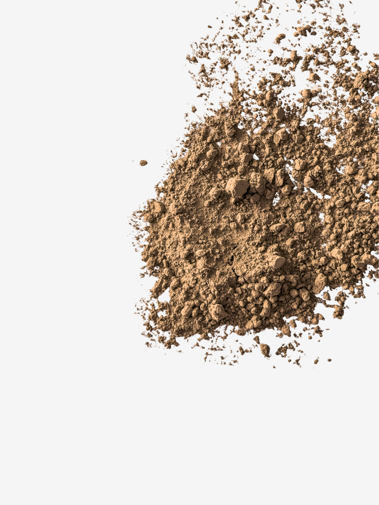 Azuma Hojicha - Limited